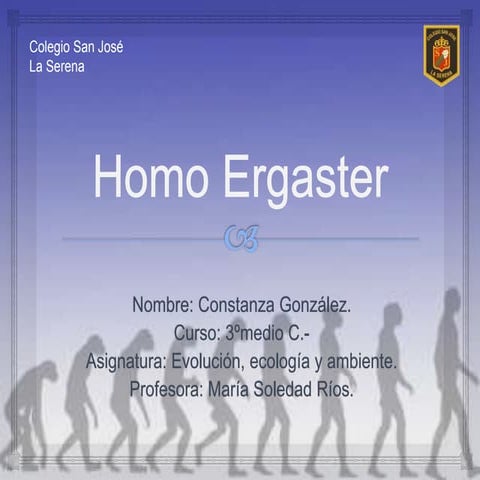 Homo ergaster | PDF