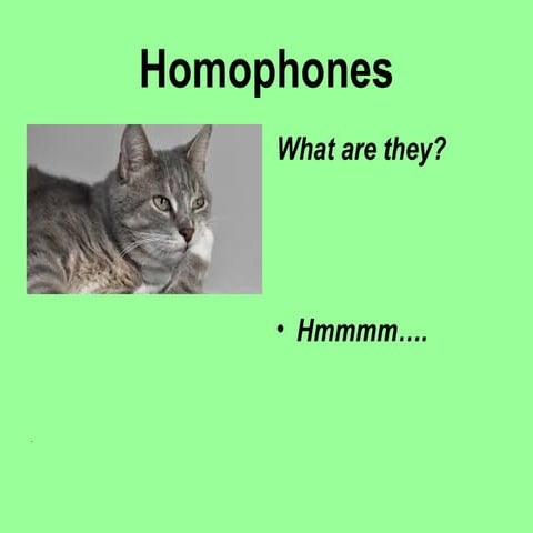 Homophones updated kvanko