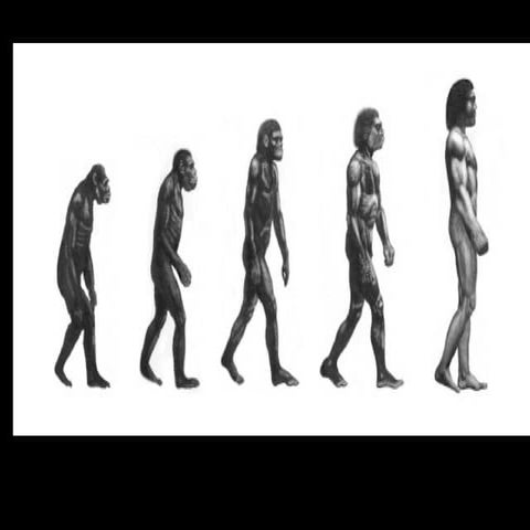 HOMOSAPIENS la meravigliosa storia  dell'evoluzione umana .ppt