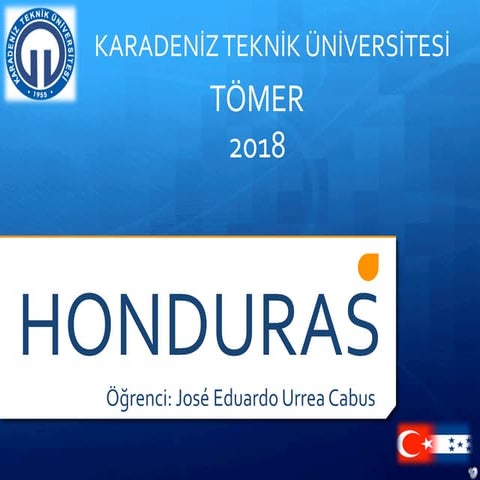 Jose Urrea Cabus, Tutoring at Tutor de matemática