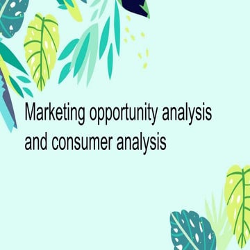 Marketing Opportunity analysis and consumer analysis