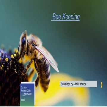 Honeybee - (apiculture ) introduction 