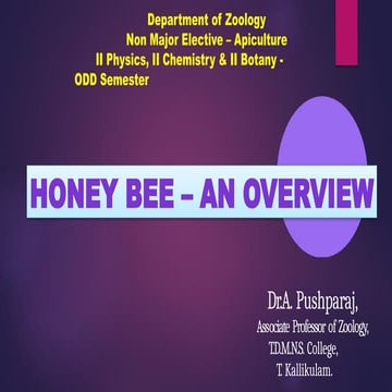 Bees powerpoint all about bees for 1.1.ppt