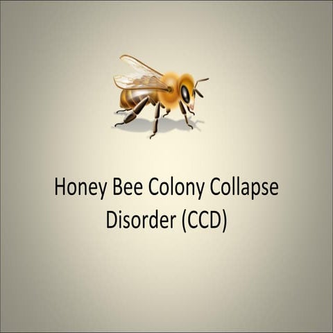 Honey Bee Colony Collapse Disorder (Ccd)