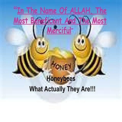 Honey Bees