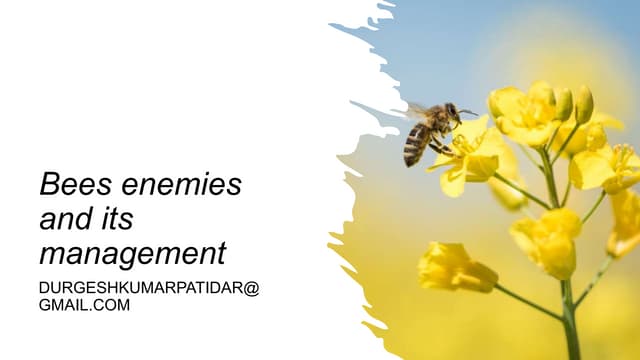 Honey bees enemies and its management