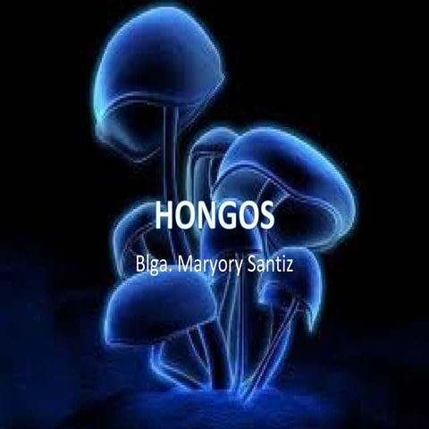 Hongos