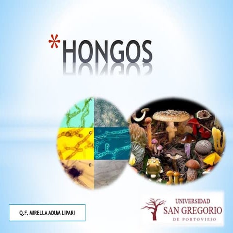 HONGOS MICROBIOLOGIA
