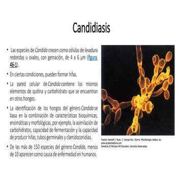 Hongos oportunistas en atención de enfermería.pptx