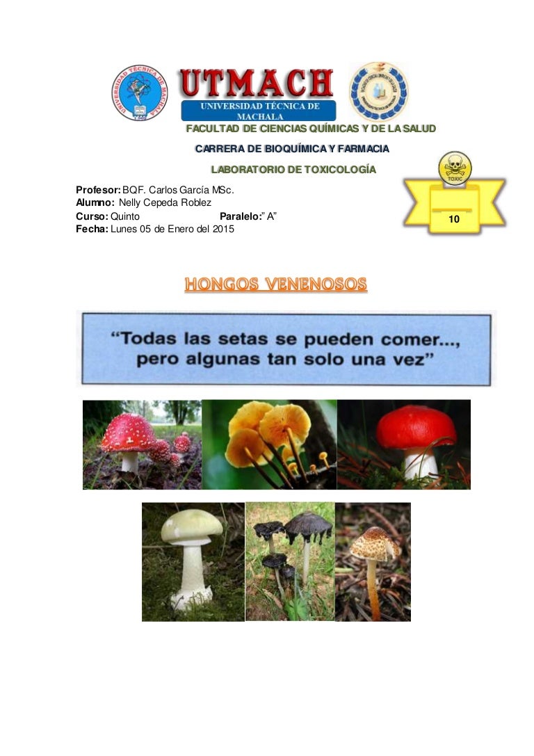 Hongos venenosos