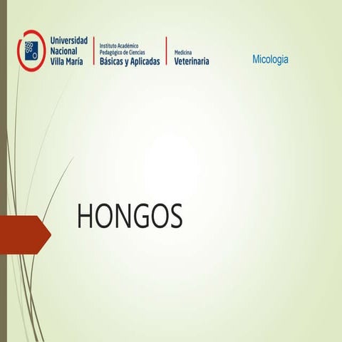 Microbiologia hongos y Levaduras 2.powerpt