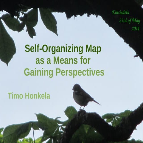 Timo Honkela: Self-Organizing Map as a Means for Gaining Perspectives