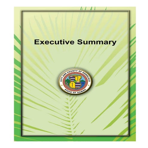 Honolulu Budget Executive Summary