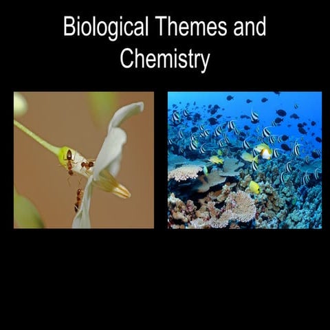 Honors biology chemistry and introduction 1213
