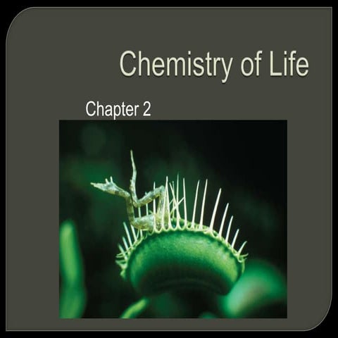 Honors ch2 notes 2013