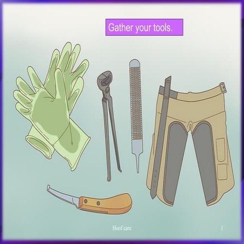 horse health             hoof-care  .pdf