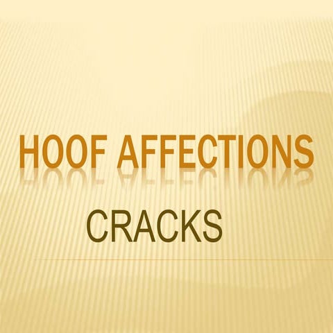 Hoof cracks 2