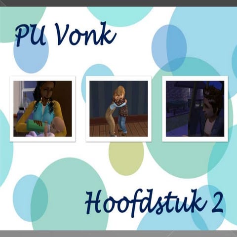 PU Vonk - Hoofdstuk 2