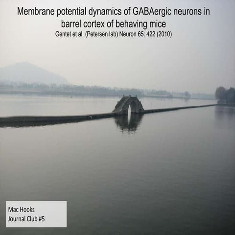 Journal Club #5 - In vivo inhibitory activity