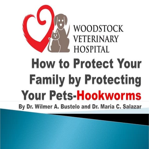 Woodstock Vet Clinic-Hookworms