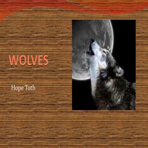 Presentation1 | PPT