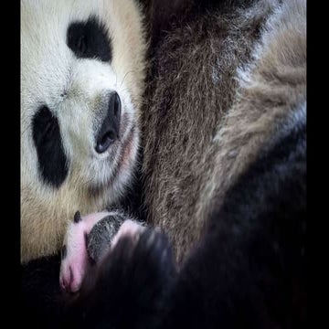 Hopeful Images From 2017