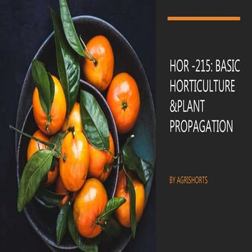 Horticulture  215