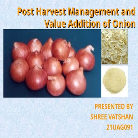 HOR 312 SHREEVATSHAN 21UAG091pjn.pptx.ppt