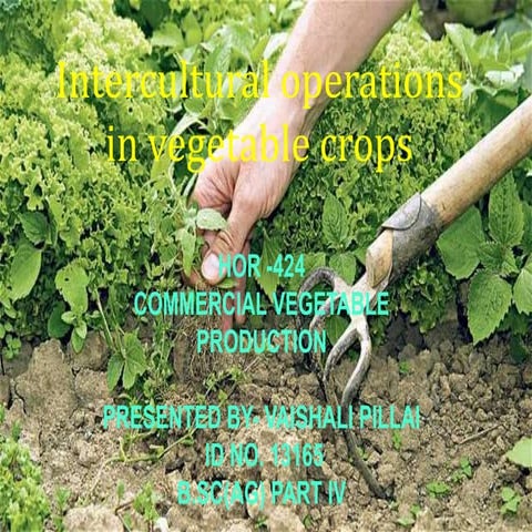 Weeding Methods in Agriculture and Crop.pptx