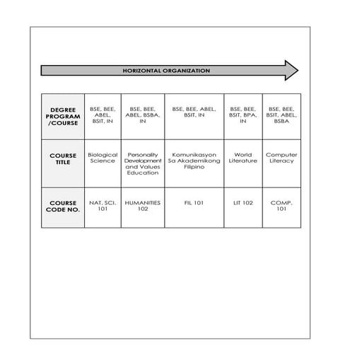 horizontal organization.pdf
