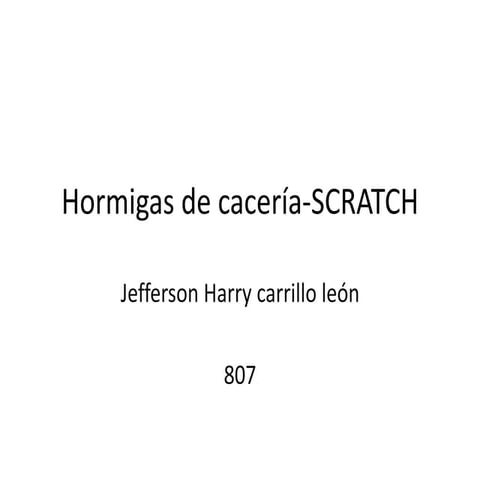 Hormigas de cacería scratch