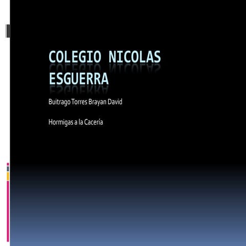 Hormigas de caceria explicacion