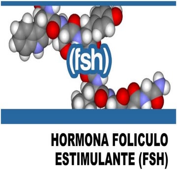Hormona fsh | PPTX
