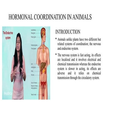 Hormonal Coordination in Animals (Endocrine system)