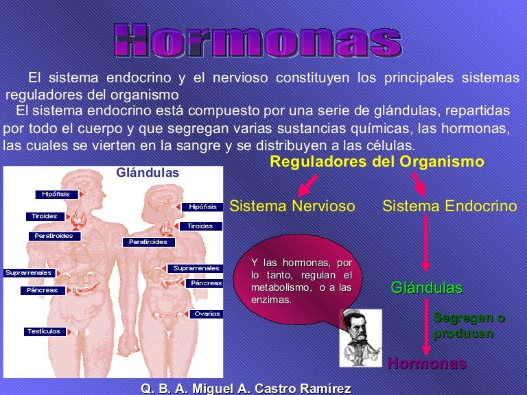HORMONAS
