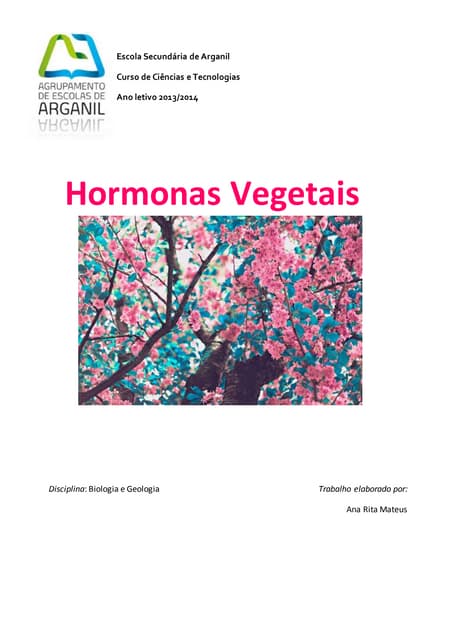 Hormonas vegetais