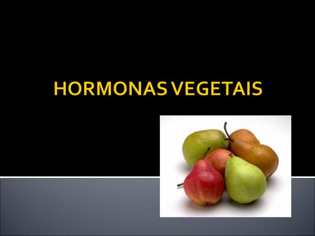 Hormonas vegetais %2890 min%29