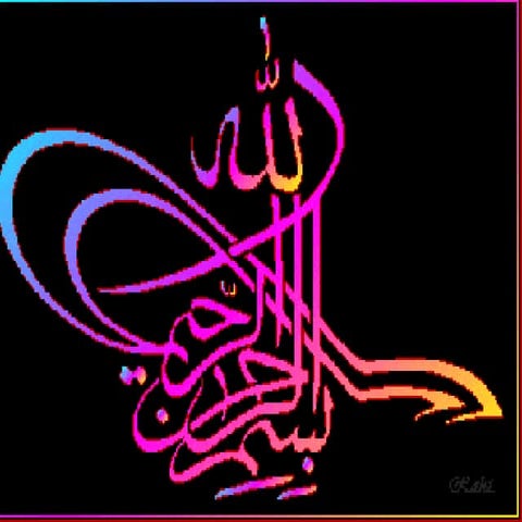 Biochemistry Of Hormones