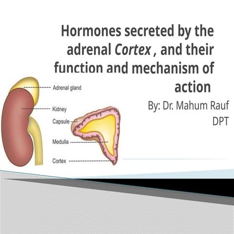 Hormones secreted by the adrenal cortex and medulla.pptx