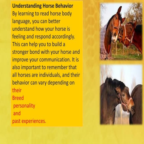 HORSE-BEHAVIOUR.                     pdf