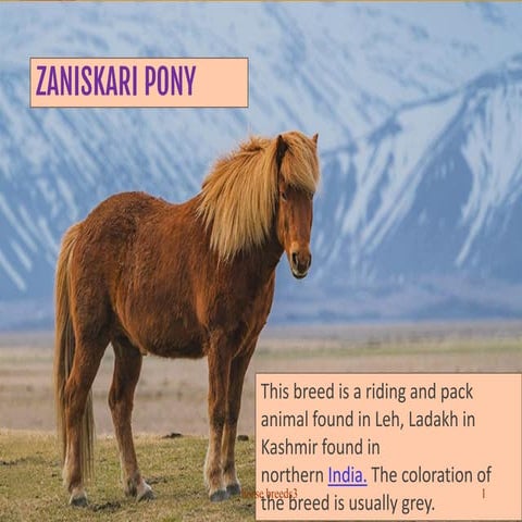 horse-breeds-                       .pdf