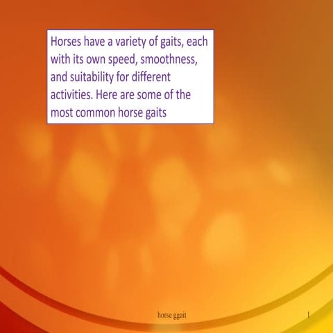 horse-gait.                           pdf