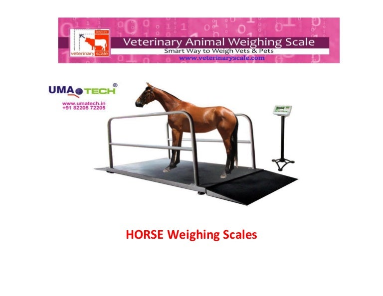 Horse and equine weighing scales for equine farms, horse farms, horse…