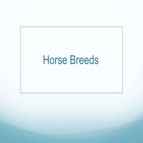 Horse Breeds