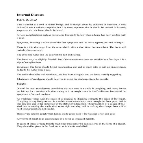 Internal Diseases in Horses - Common Symptoms and Treatments