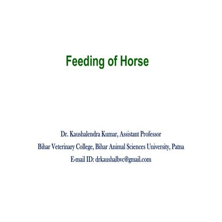 Nutrition of Horse