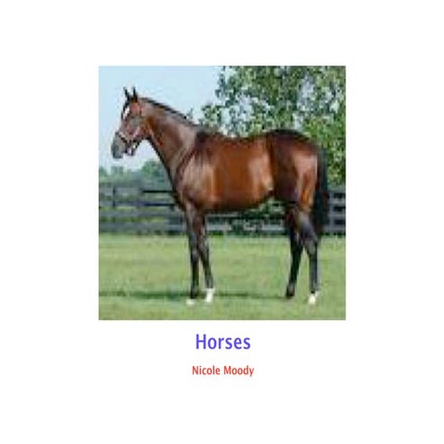 Horses By Nicole