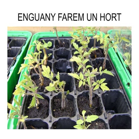 Dossier d'exercicis a l'hort 1 | PDF