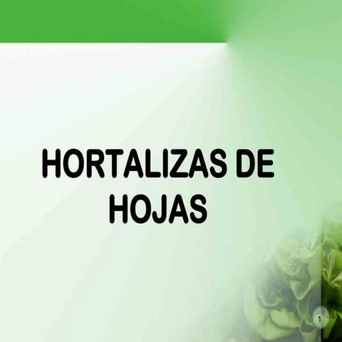 Hortalizas de hojas