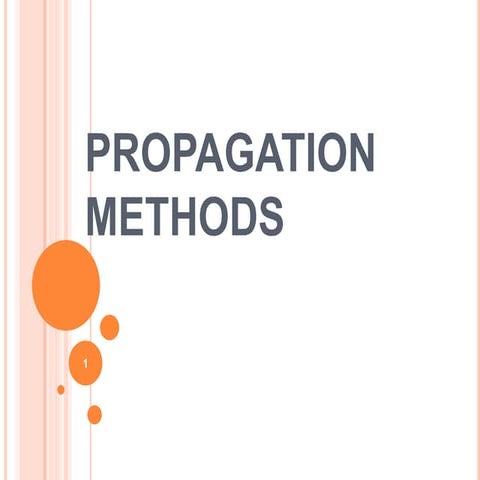 Plant propagation methods : types, features etc.
